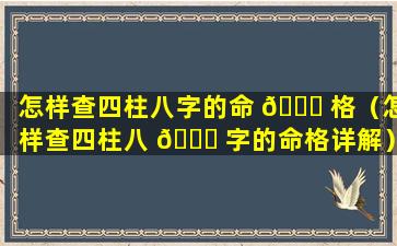 怎样查四柱八字的命 🐕 格（怎样查四柱八 🐞 字的命格详解）